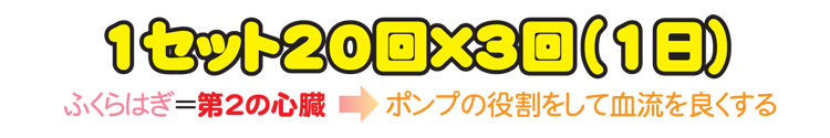 かかとの上げ下げ　１セット２０回×３回（１日）