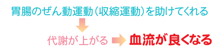 胃腸のぜん動運動を（収縮運動）を助けてくれる→代謝が上がる→血流が良くなる
