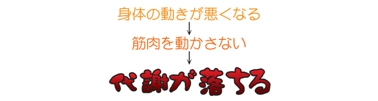 身体の動きが悪くなる→筋肉を動かさない→代謝が落ちる