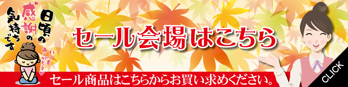 エーセンドネットでは２０１６年０９月２４（土）深夜０時～２０１６年０９月２６（月）夜２３時５９分まで７２時間限定割引セールを開催いたします。