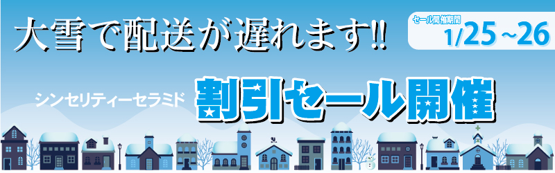 エーセンドネットでは2017年01月25(水)深夜0時~26(木)夜23時59分まで48時間限定割引セールを開催いたします。