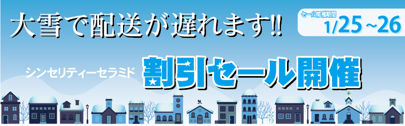 エーセンドネットでは２０１７年０１月２５（水）深夜０時～２６（木）夜２３時５９分まで４８時間限定割引セールを開催いたします。