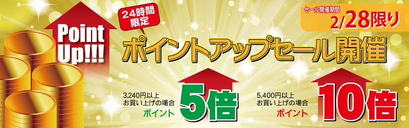 エーセンドネットでは２０１７年０２月２８日（火）深夜０時～夜２３時５９分まで２４時間限定ポイントアップセールを開催いたします。