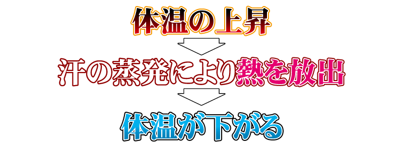 体温が上昇すると汗の蒸発により熱を放出し体温を下げます。