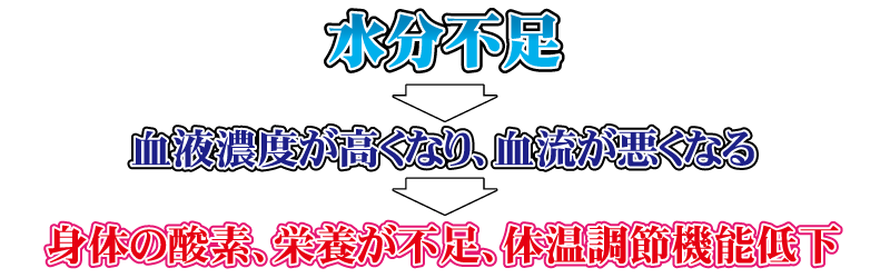 水分不足になると、血液濃度が高くなり、血流が悪くなり、身体の酸素、栄養が不足、体温調節機能低下など起こります。