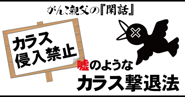 がんこ親父の『閑話』：嘘のようなカラス撃退法