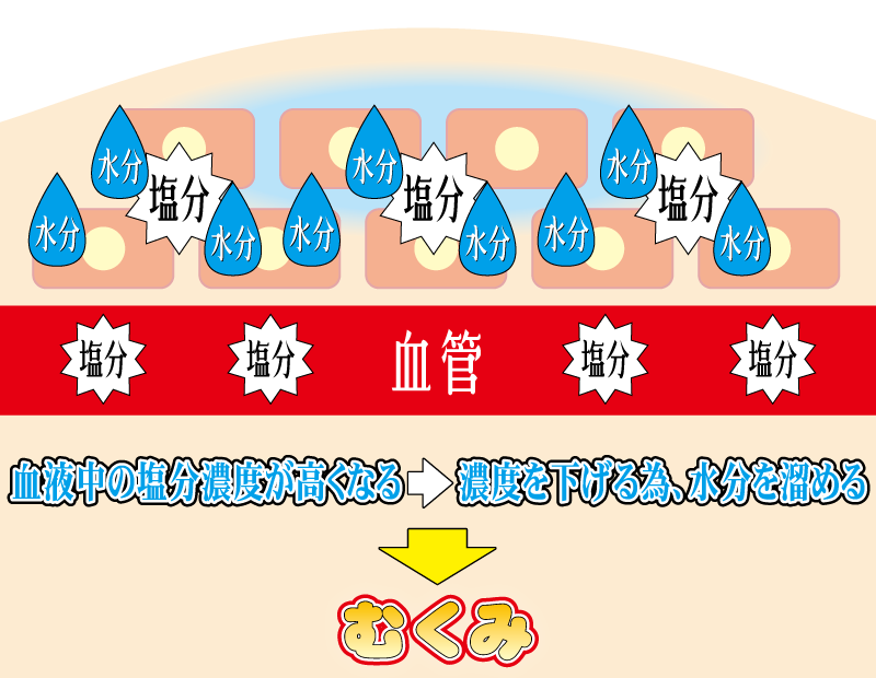 血液中の塩分濃度が高くなると、濃度を下げる為に水分を溜めるので、むくみの原因になります