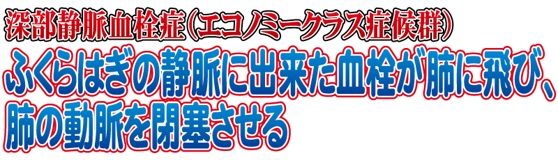 エコノミークラス症候群はふくらはぎの静脈に出来た血栓が肺に飛び、肺の静脈を閉塞させる