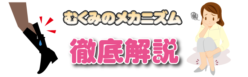 徹底解説！むくみのメカニズム