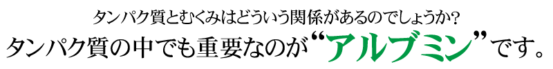 タンパク質とむくみはどういう関係があるのでしょうか？タンパク質の中でも重要なのが“アルブミン”です。