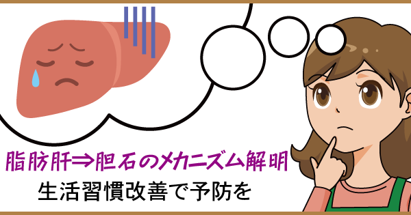 脂肪肝⇒胆石のメカニズム解明　生活習慣改善で予防を